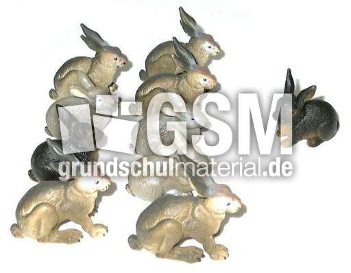 Hasen9+1.jpg
